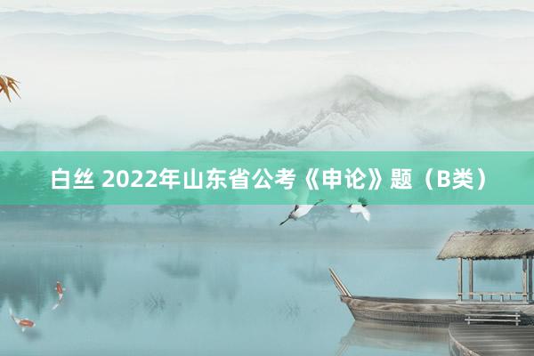 白丝 2022年山东省公考《申论》题（B类）