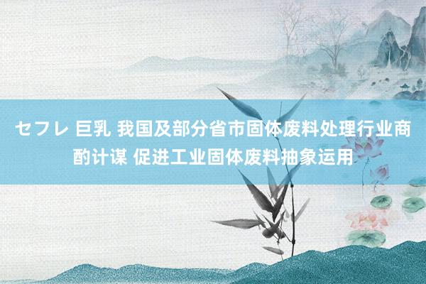 セフレ 巨乳 我国及部分省市固体废料处理行业商酌计谋 促进工业固体废料抽象运用