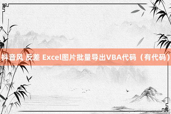 抖音风 反差 Excel图片批量导出VBA代码（有代码）