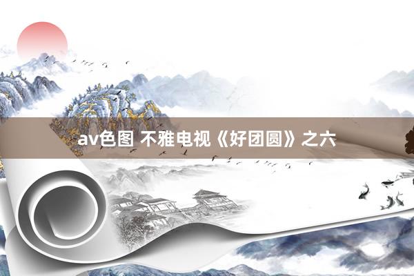 av色图 不雅电视《好团圆》之六